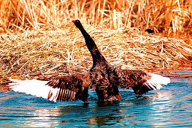 《无主之地4》TGA预告震撼首曝，无主宇宙全面升级！